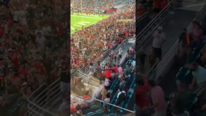 FANS CATCH FALLING CAT AT MIAMI GAME 😱😱 #shorts